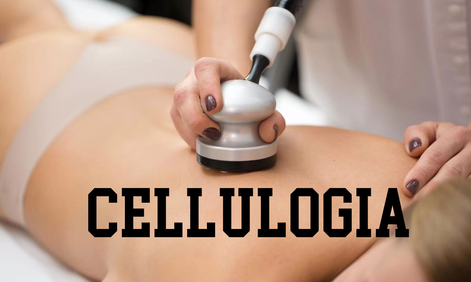Cellulogia