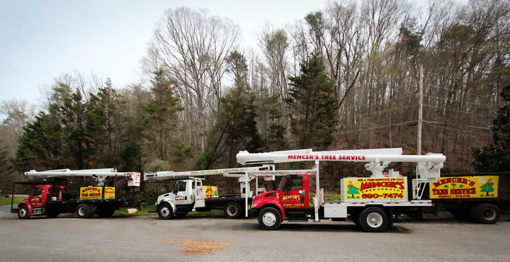 Tree Service